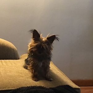 Meet your Posher, Nick